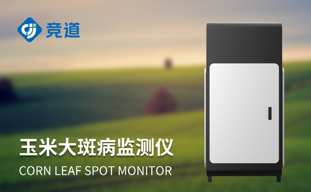 玉米大斑病防治新手段，玉米大斑病監測儀提升病害治理能力